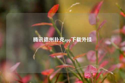 腾讯德州扑克app下载外挂