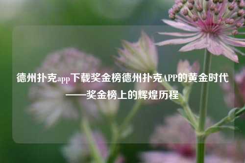 德州扑克app下载奖金榜德州扑克APP的黄金时代——奖金榜上的辉煌历程