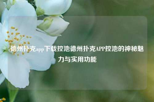 德州扑克app下载控池德州扑克APP控池的神秘魅力与实用功能