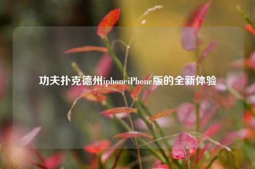 功夫扑克德州iphoneiPhone版的全新体验