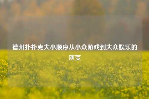 德州扑扑克大小顺序从小众游戏到大众娱乐的演变