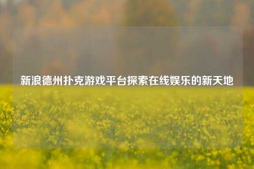 新浪德州扑克游戏平台探索在线娱乐的新天地