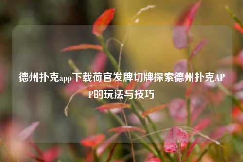 德州扑克app下载荷官发牌切牌探索德州扑克APP的玩法与技巧