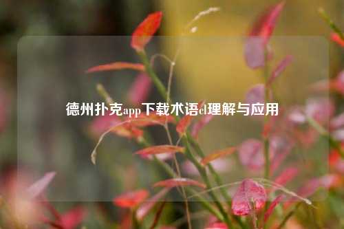 德州扑克app下载术语cl理解与应用