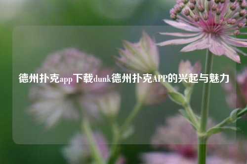 德州扑克app下载dunk德州扑克APP的兴起与魅力
