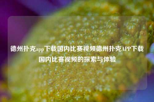 德州扑克app下载国内比赛视频德州扑克APP下载国内比赛视频的探索与体验