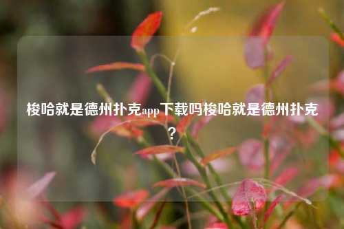 梭哈就是德州扑克app下载吗梭哈就是德州扑克？