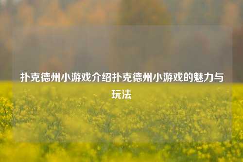 扑克德州小游戏介绍扑克德州小游戏的魅力与玩法
