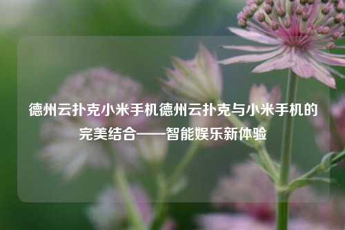 德州云扑克小米手机德州云扑克与小米手机的完美结合——智能娱乐新体验