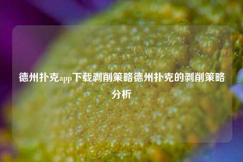 德州扑克app下载剥削策略德州扑克的剥削策略分析