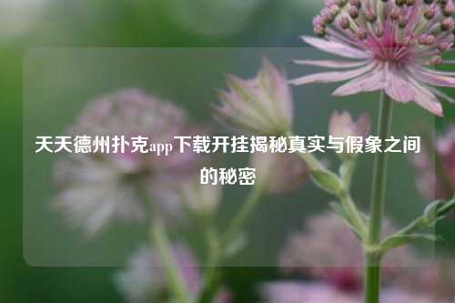 天天德州扑克app下载开挂揭秘真实与假象之间的秘密