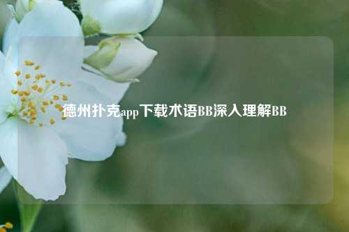 德州扑克app下载术语BB深入理解BB