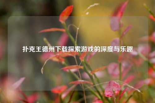 扑克王德州下载探索游戏的深度与乐趣
