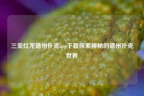 三亚红龙德州扑克app下载探索神秘的德州扑克世界