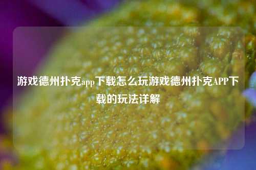 游戏德州扑克app下载怎么玩游戏德州扑克APP下载的玩法详解