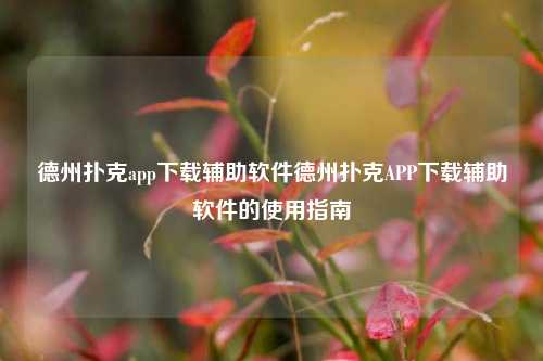 德州扑克app下载辅助软件德州扑克APP下载辅助软件的使用指南