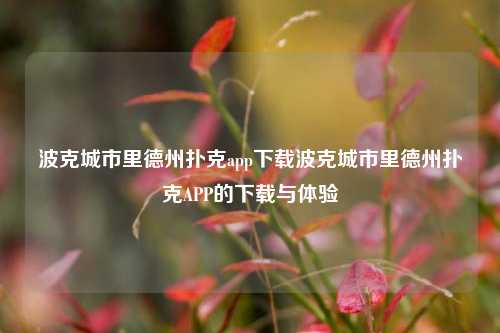 波克城市里德州扑克app下载波克城市里德州扑克APP的下载与体验