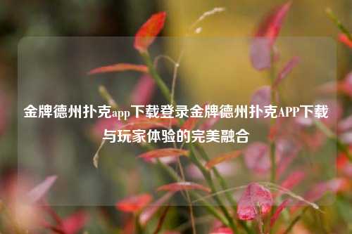 金牌德州扑克app下载登录金牌德州扑克APP下载与玩家体验的完美融合