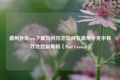 德州扑克app下载如何控池如何在德州扑克中有效地控制筹码（Pool Control）