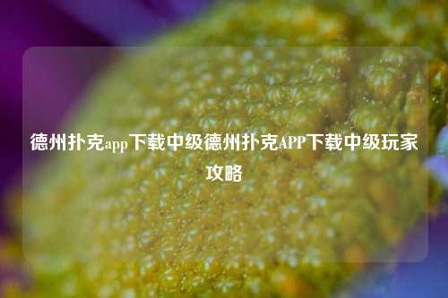 德州扑克app下载中级德州扑克APP下载中级玩家攻略