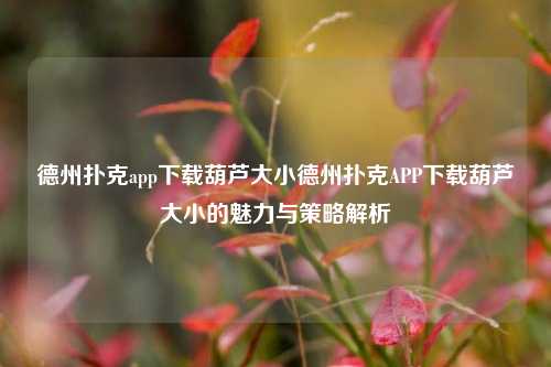 德州扑克app下载葫芦大小德州扑克APP下载葫芦大小的魅力与策略解析