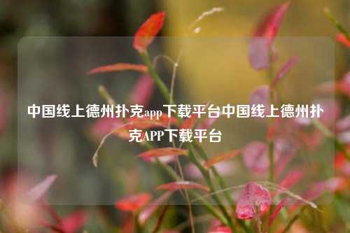 中国线上德州扑克app下载平台中国线上德州扑克APP下载平台