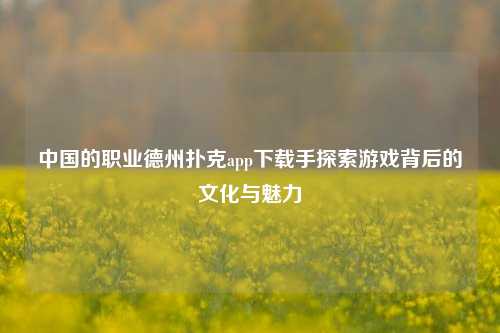 中国的职业德州扑克app下载手探索游戏背后的文化与魅力