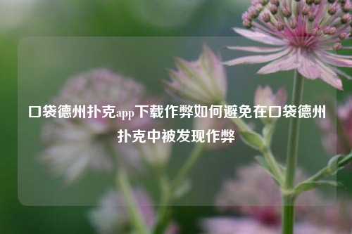 口袋德州扑克app下载作弊如何避免在口袋德州扑克中被发现作弊