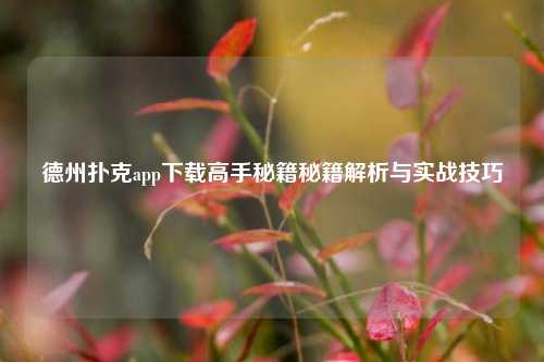 德州扑克app下载高手秘籍秘籍解析与实战技巧