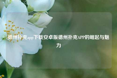 德州扑克app下载安卓版德州扑克APP的崛起与魅力