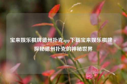 宝来娱乐棋牌德州扑克app下载宝来娱乐棋牌 - 探秘德州扑克的神秘世界