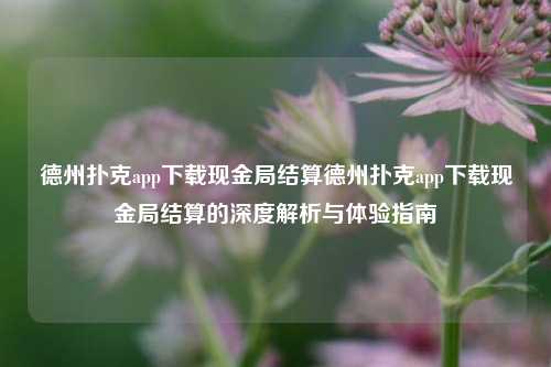 德州扑克app下载现金局结算德州扑克app下载现金局结算的深度解析与体验指南