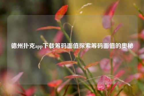德州扑克app下载筹码面值探索筹码面值的奥秘