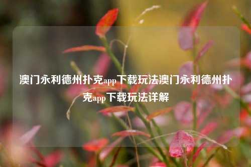 澳门永利德州扑克app下载玩法澳门永利德州扑克app下载玩法详解