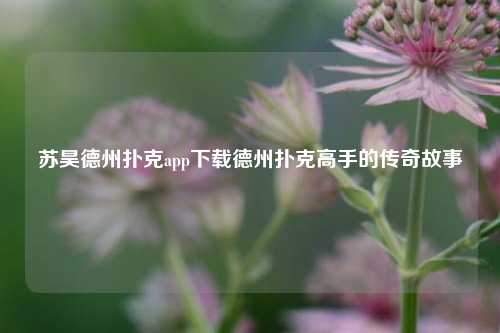 苏昊德州扑克app下载德州扑克高手的传奇故事