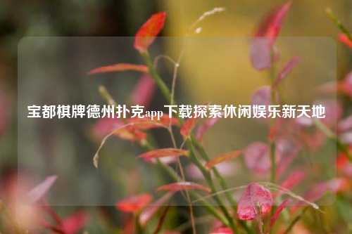 宝都棋牌德州扑克app下载探索休闲娱乐新天地