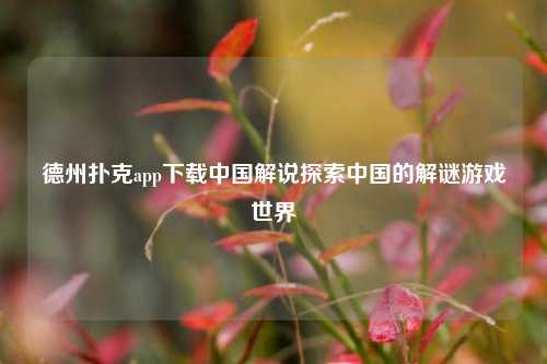 德州扑克app下载中国解说探索中国的解谜游戏世界