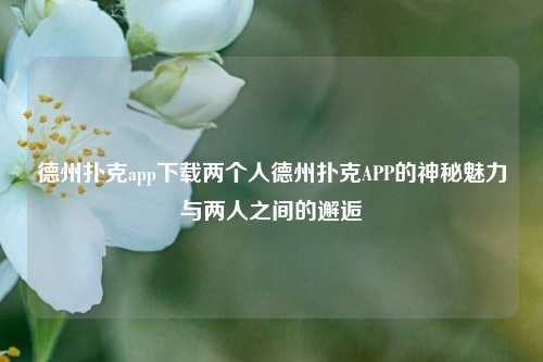 德州扑克app下载两个人德州扑克APP的神秘魅力与两人之间的邂逅