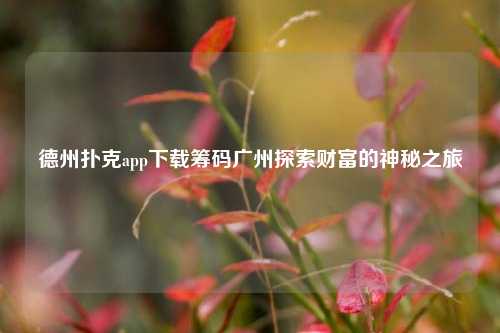 德州扑克app下载筹码广州探索财富的神秘之旅