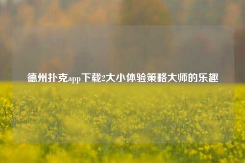 德州扑克app下载2大小体验策略大师的乐趣
