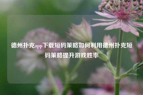德州扑克app下载短码策略如何利用德州扑克短码策略提升游戏胜率