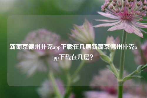 新葡京德州扑克app下载在几层新葡京德州扑克app下载在几层？