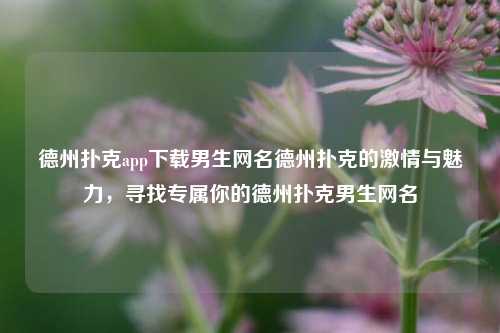 德州扑克app下载男生网名德州扑克的激情与魅力，寻找专属你的德州扑克男生网名