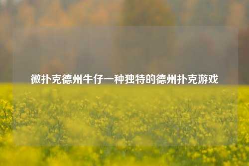 微扑克德州牛仔一种独特的德州扑克游戏