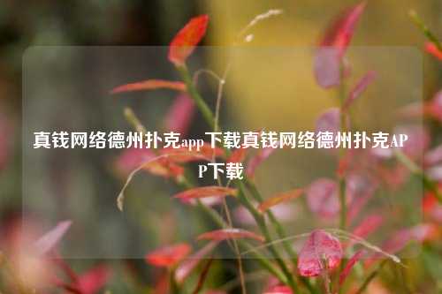 真钱网络德州扑克app下载真钱网络德州扑克APP下载