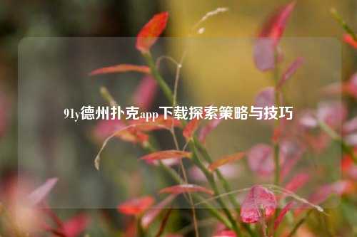 91y德州扑克app下载探索策略与技巧