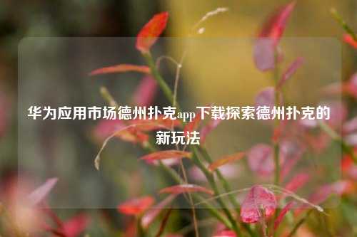 华为应用市场德州扑克app下载探索德州扑克的新玩法
