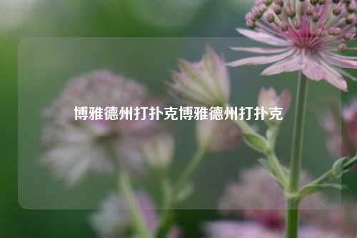 博雅德州打扑克博雅德州打扑克