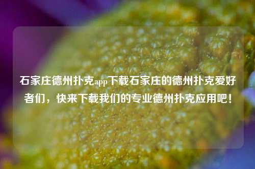石家庄德州扑克app下载石家庄的德州扑克爱好者们，快来下载我们的专业德州扑克应用吧！