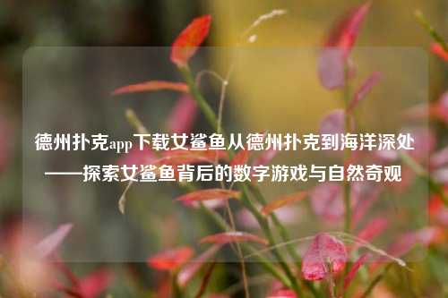 德州扑克app下载女鲨鱼从德州扑克到海洋深处——探索女鲨鱼背后的数字游戏与自然奇观